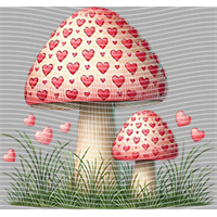 Valentine's Day-QRJ  2332